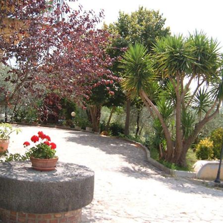 L'Uliveto Villa Montebuono  Bagian luar foto