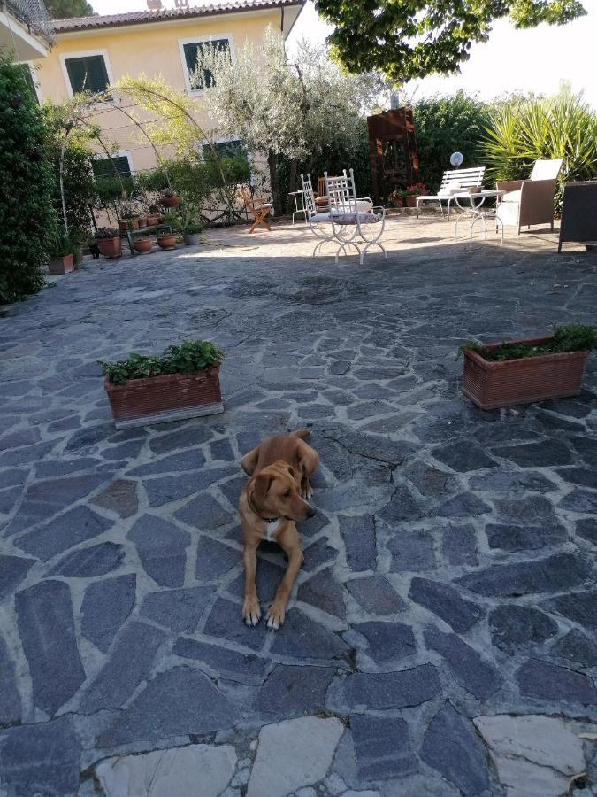 L'Uliveto Villa Montebuono  Bagian luar foto