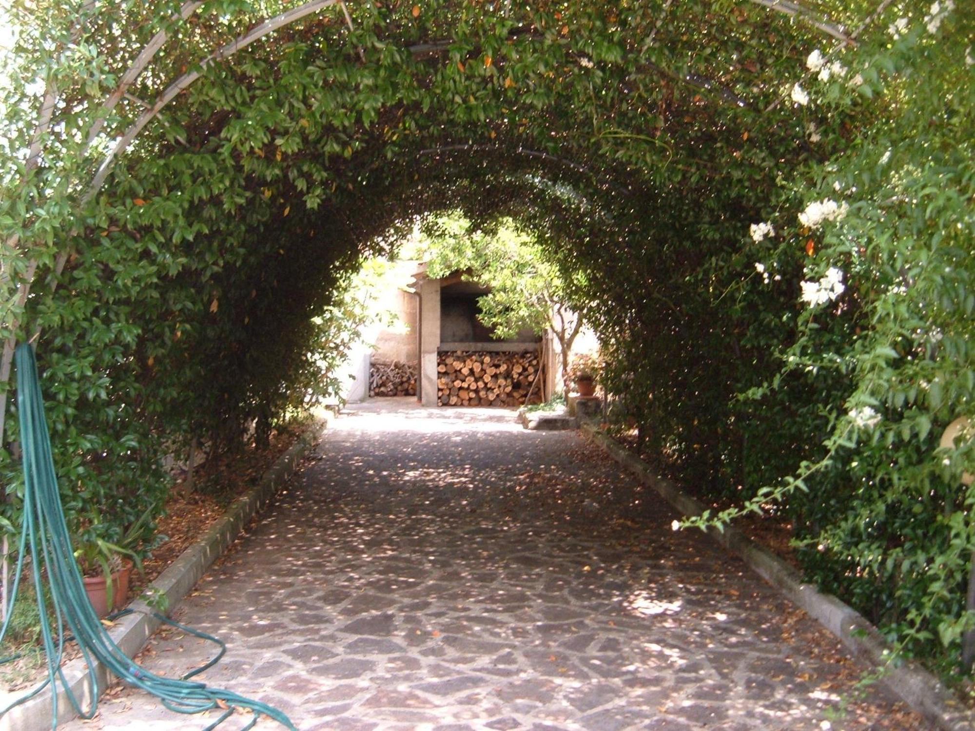 L'Uliveto Villa Montebuono  Bagian luar foto