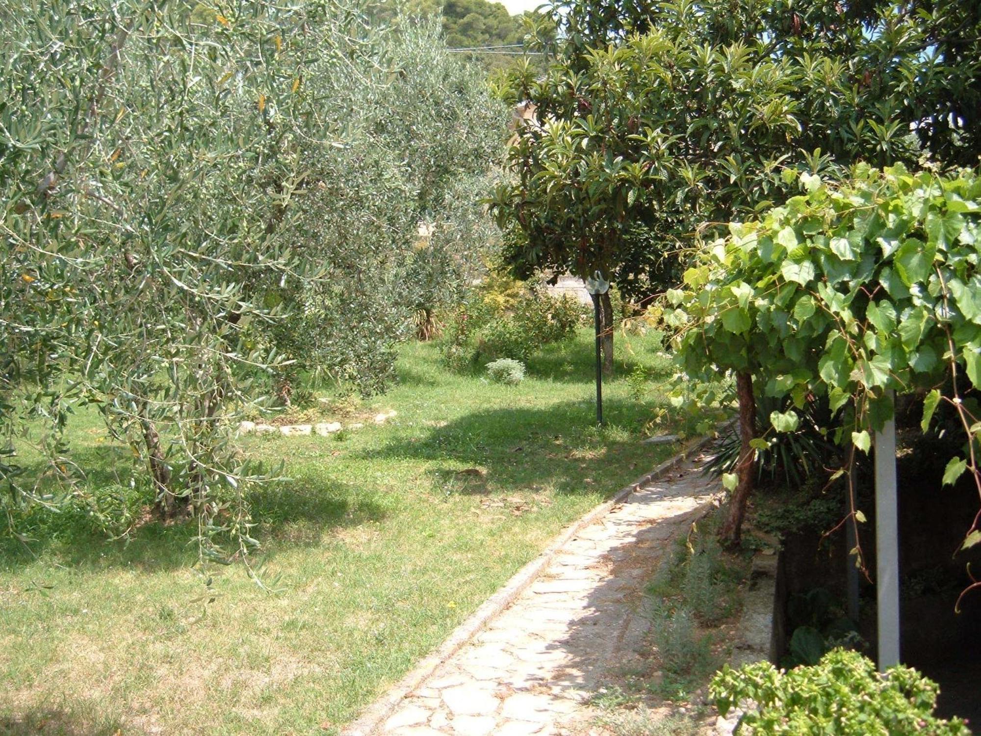 L'Uliveto Villa Montebuono  Bagian luar foto