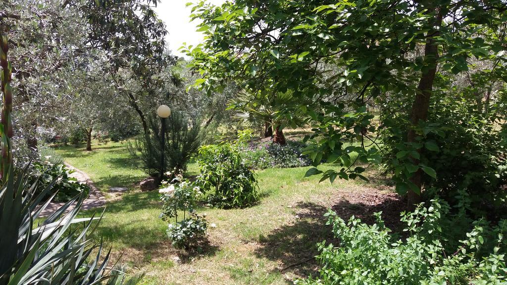 L'Uliveto Villa Montebuono  Bagian luar foto