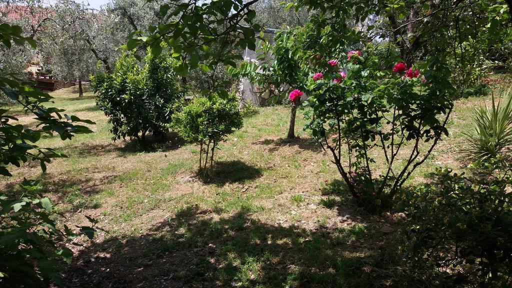 L'Uliveto Villa Montebuono  Bagian luar foto