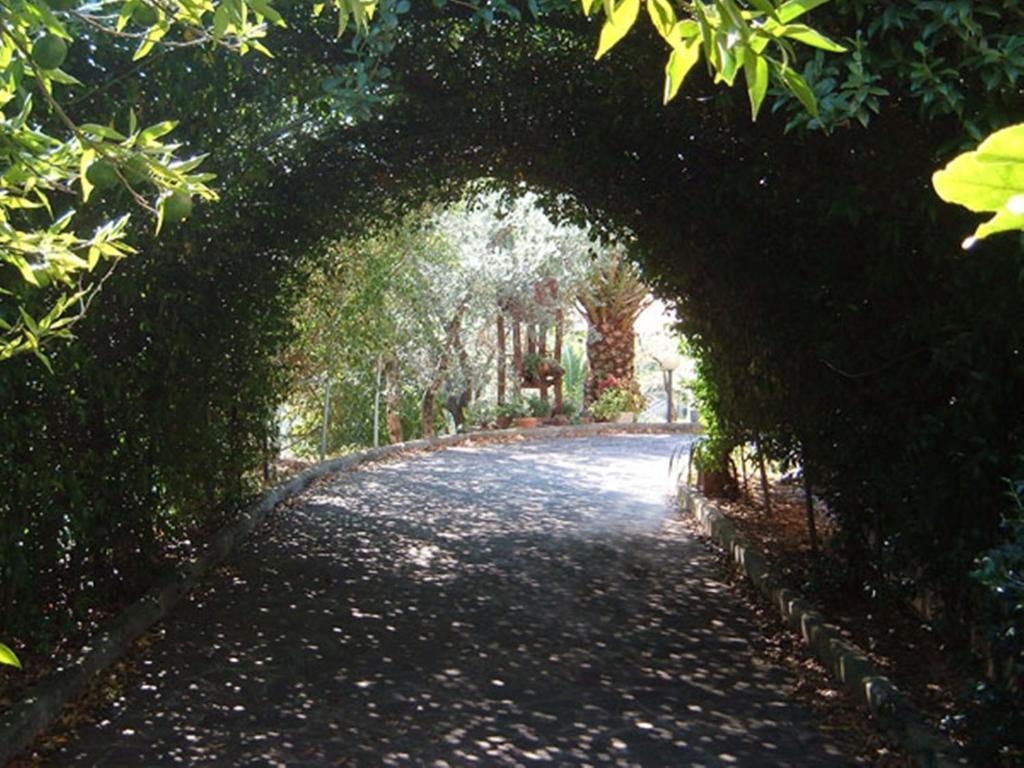 L'Uliveto Villa Montebuono  Bagian luar foto