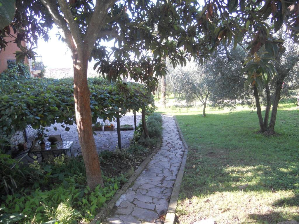 L'Uliveto Villa Montebuono  Bagian luar foto